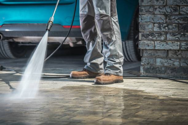 Best Roof Washing  in Alton, IA