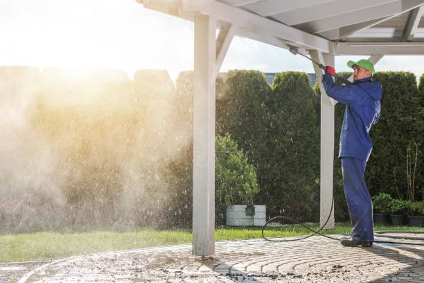 Best Driveway Pressure Washing  in Alton, IA